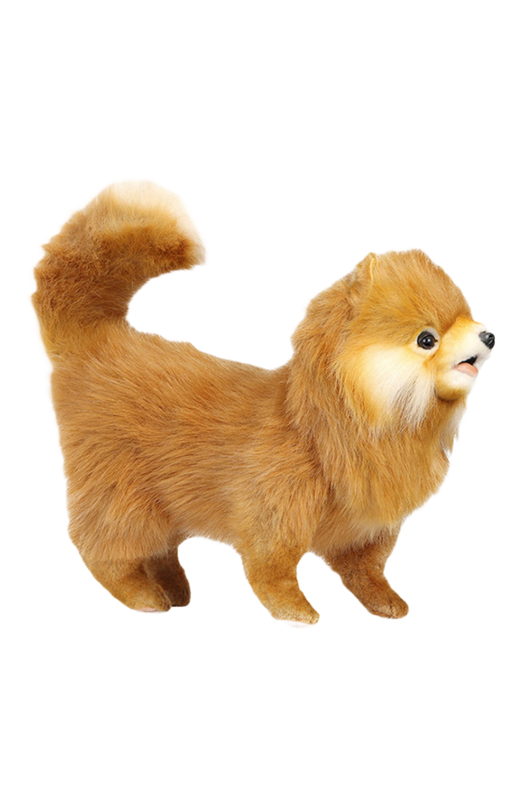 Мягкая игрушка померанский шпиц HANSA, арт. 7018, фото 2