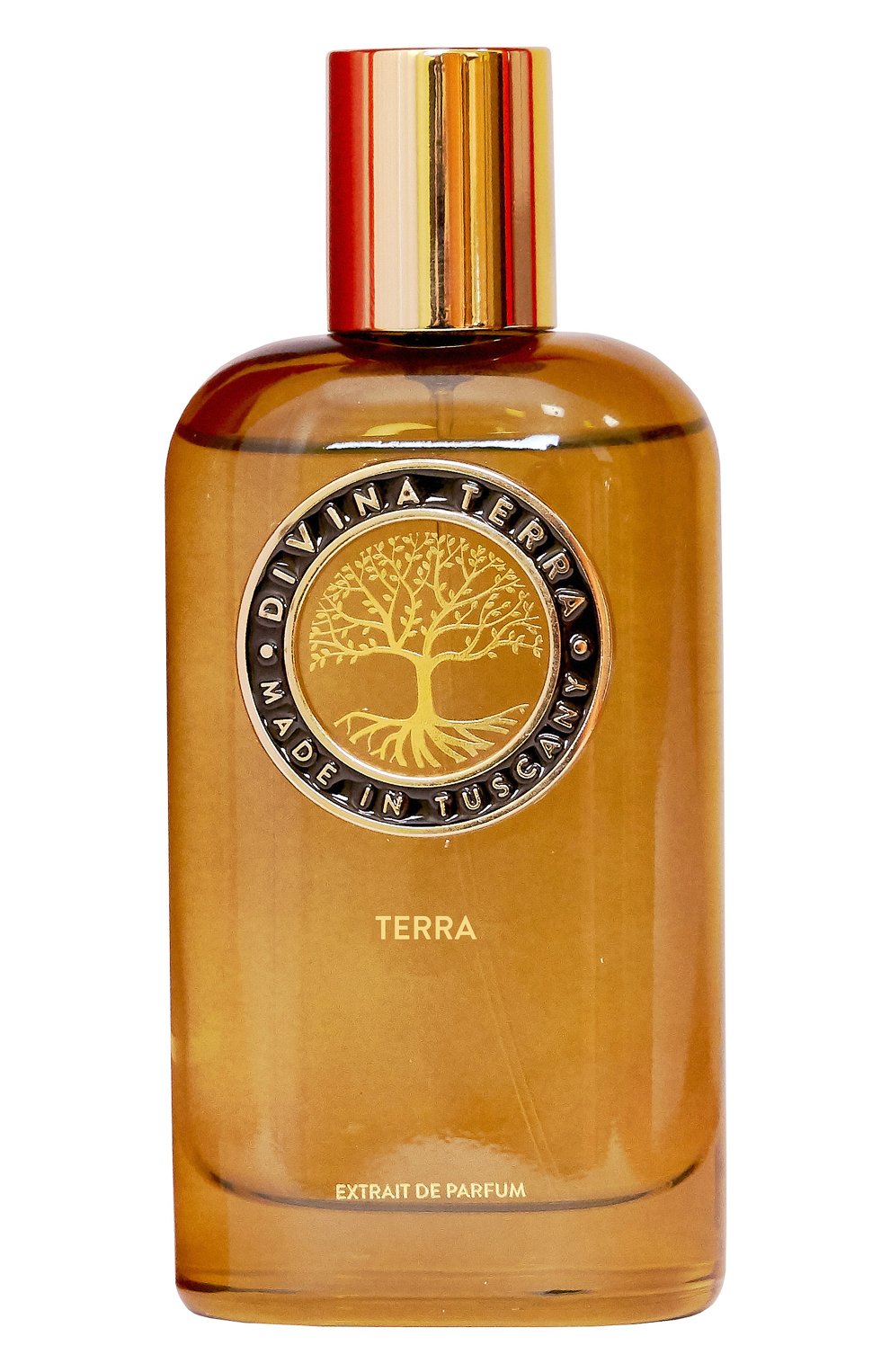 Духи terra (100ml) DIVINA TERRA, арт. 8016741352584, фото 1
