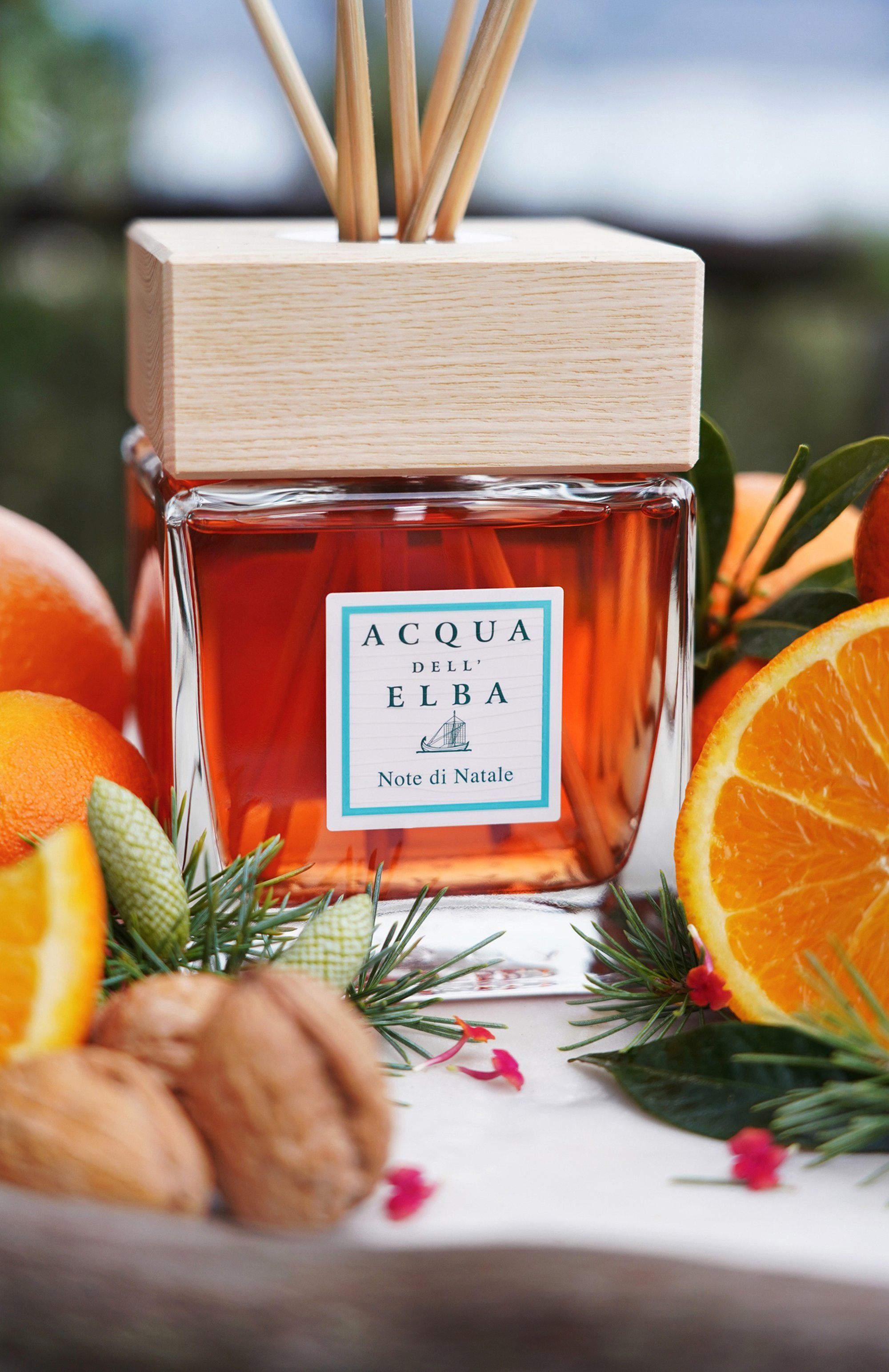 Диффузор note di natale (500ml) ACQUA DELL ELBA, арт. 8032758531422, фото 2