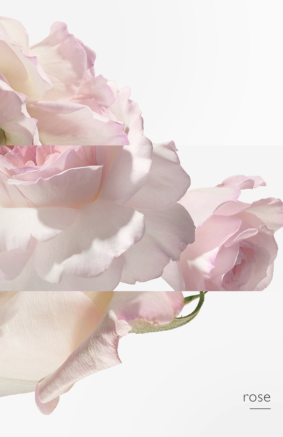 Туалетная вода concentré de pamplemousse rose (100ml) HERMÈS, арт. 27790H, фото 6