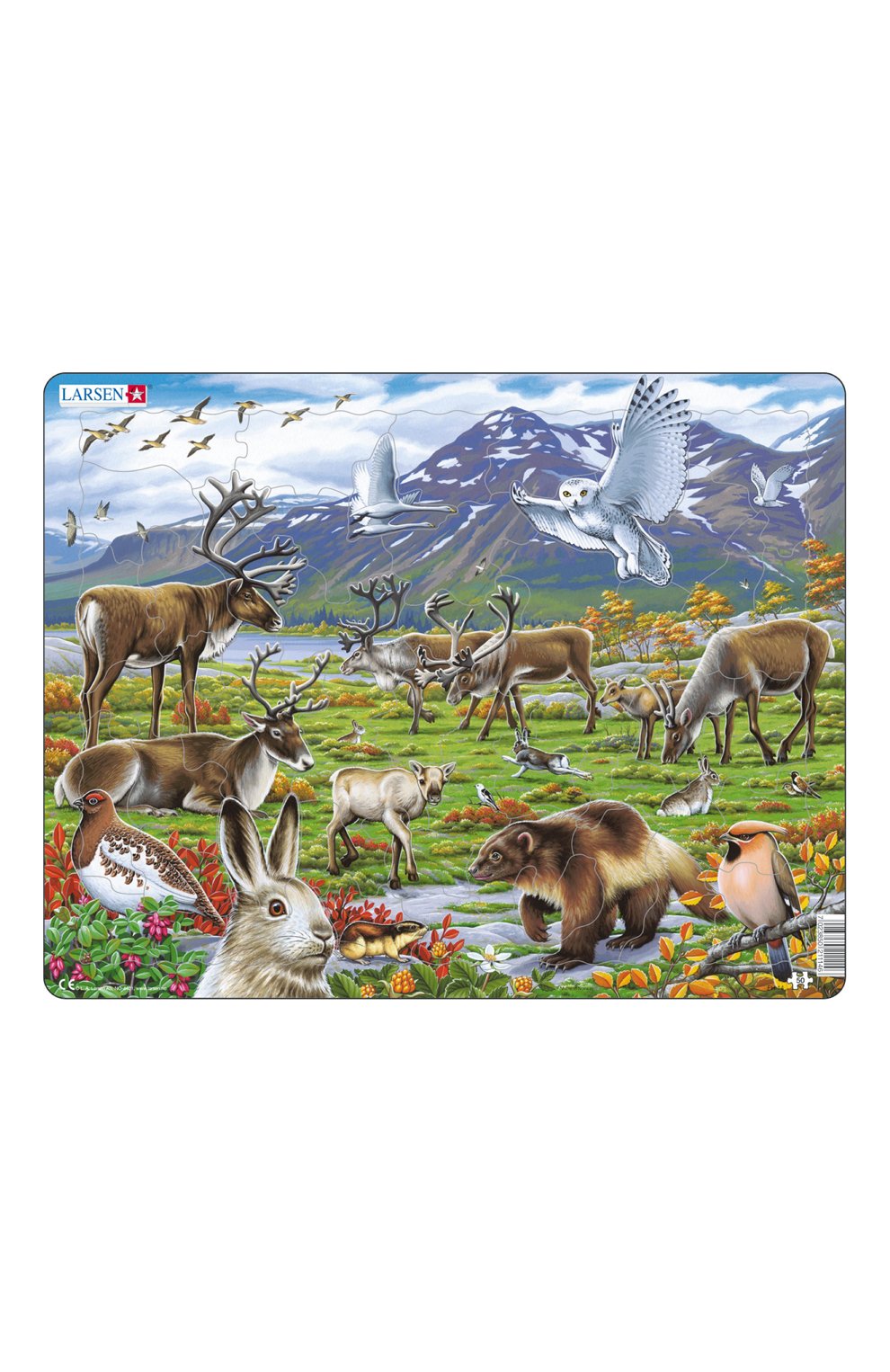 Пазл арктика LARSEN, арт. FH14, фото 1