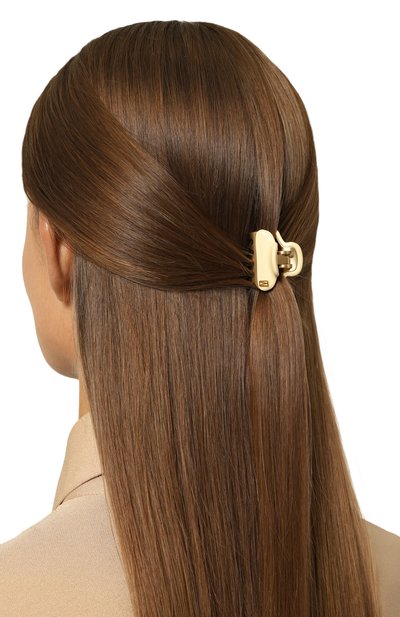 Заколка для волос ALEXANDRE DE PARIS, арт. ICCB-12831-02 I1, фото 2