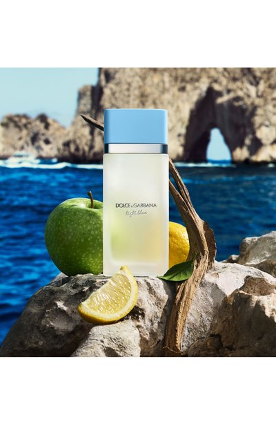 Туалетная вода light blue (100ml) DOLCE & GABBANA, арт. 8057971188192, фото 3