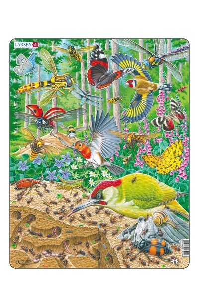 Пазл муравейник и жизнь вокруг LARSEN, арт. FH46, фото 1
