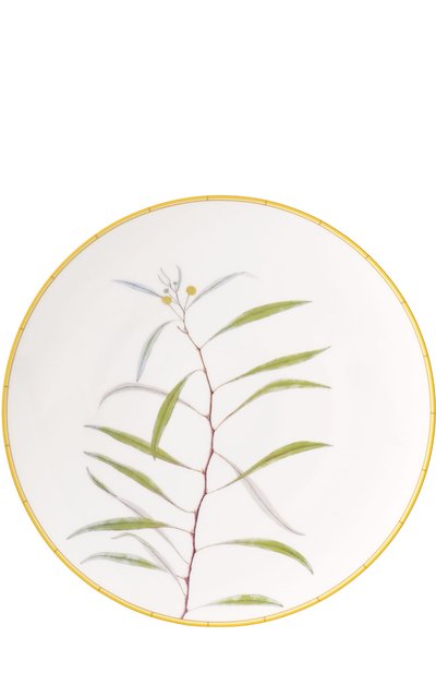 Тарелка обеденная jardin indien BERNARDAUD, арт. 0488/21259, фото 1