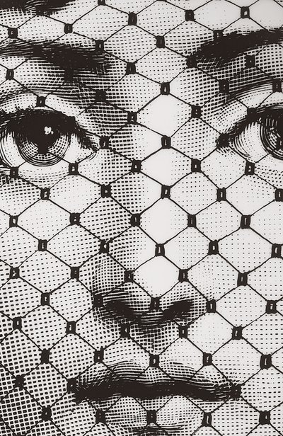 Декоративная тарелка tema e variazioni n.78 FORNASETTI черно-белого цвета по цене 22500 руб., арт. PTV078X, фото 3 Декоративная тарелка tema e variazioni n.78 FORNASETTI, арт. PTV078X, фото 3