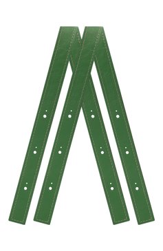 Женские ремень для сумки LÉAH зеленого цвета, арт. А022 | Фото 1 (Материал: Натуральная кожа; Материал сплава: Проставлено; Нос: Не проставлено; Кросс-КТ: ремень-сумка)