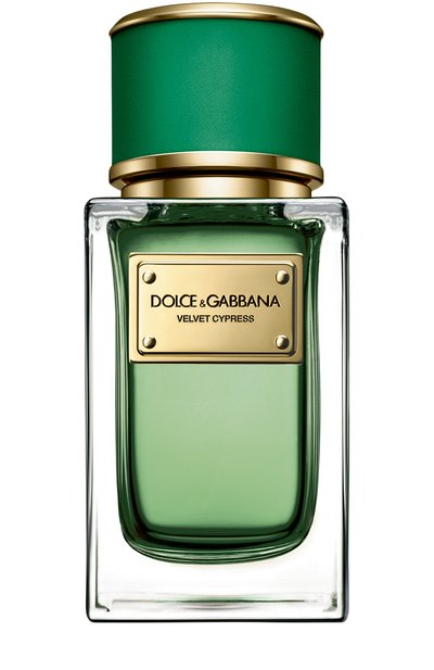 Мужской парфюмерная вода velvet cypress (50ml) DOLCE & GABBANA, арт. 730870225424