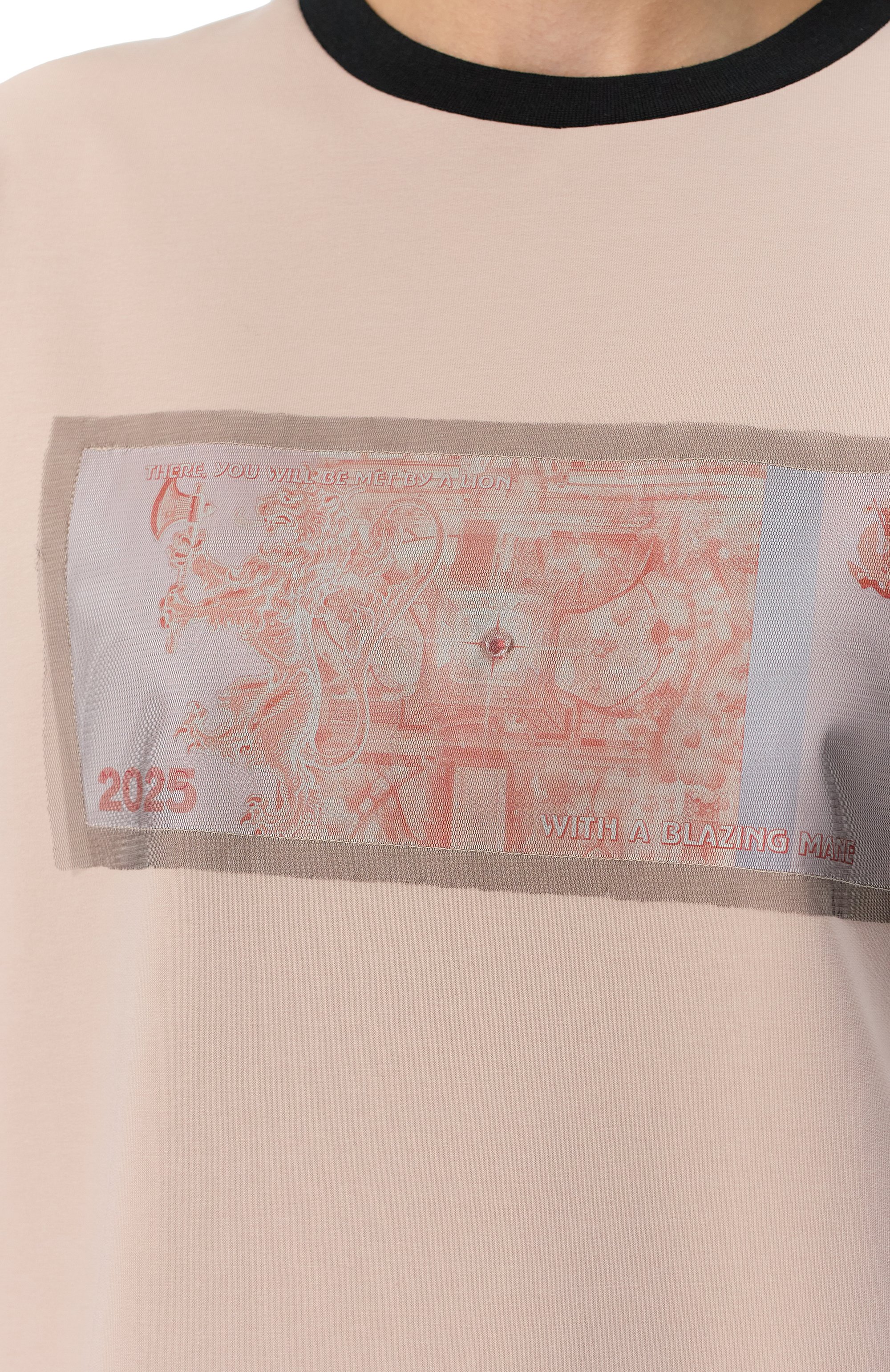 Хлопковая футболка MIDGARD PARIS, арт. TT9CN-OS-BJ, фото 5