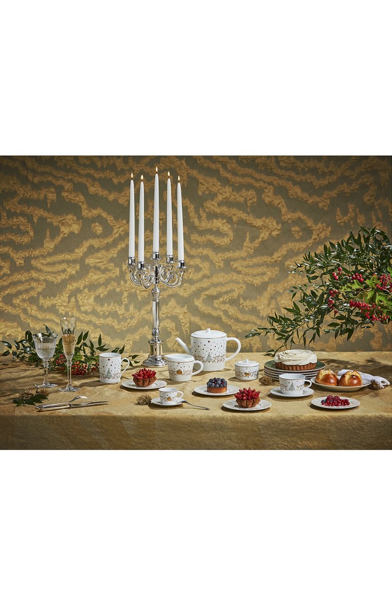 Чашка чайная с блюдцем noel blanc BERNARDAUD белого цвета, арт. 1916/89 | Фото 2 (Коллекция: Noel Blanc; Нос: Не проставлено; Региональные ограничения белый список (Axapta Mercury): Не проставлено; Ограничения доставки: fragile-2)