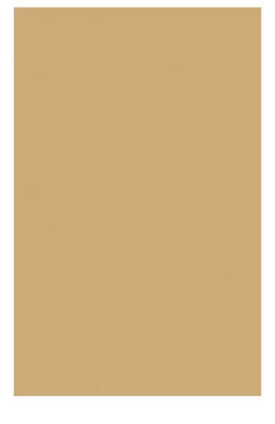 Тональный крем регенерирующий extra-firming foundation 110 (30ml) CLARINS, арт. 04020010, фото 2