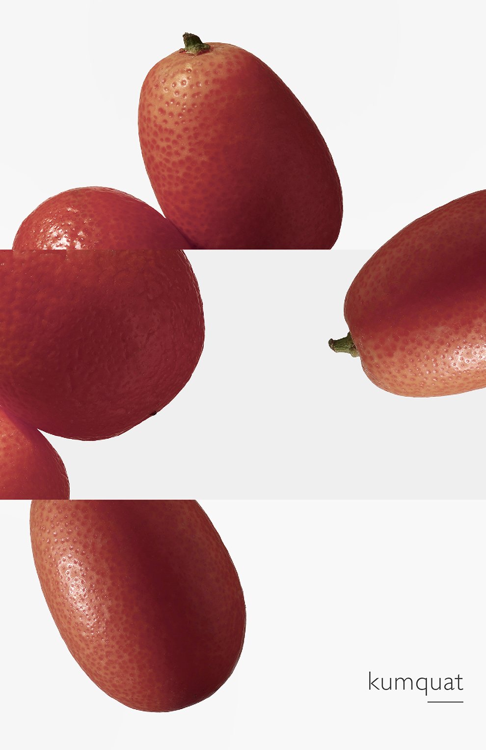 Туалетная вода спрей le jardin de monsieur li (100ml) HERMÈS, арт. 32118H, фото 6