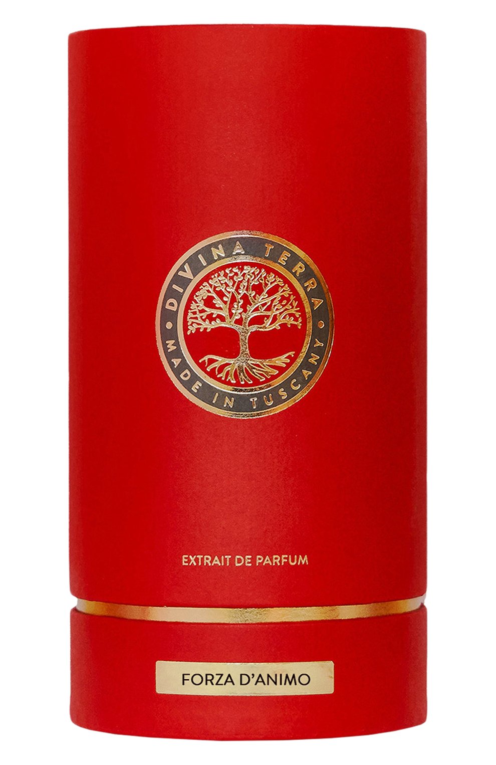 Духи forza d'animo (100ml) DIVINA TERRA, арт. 8016741172625, фото 2