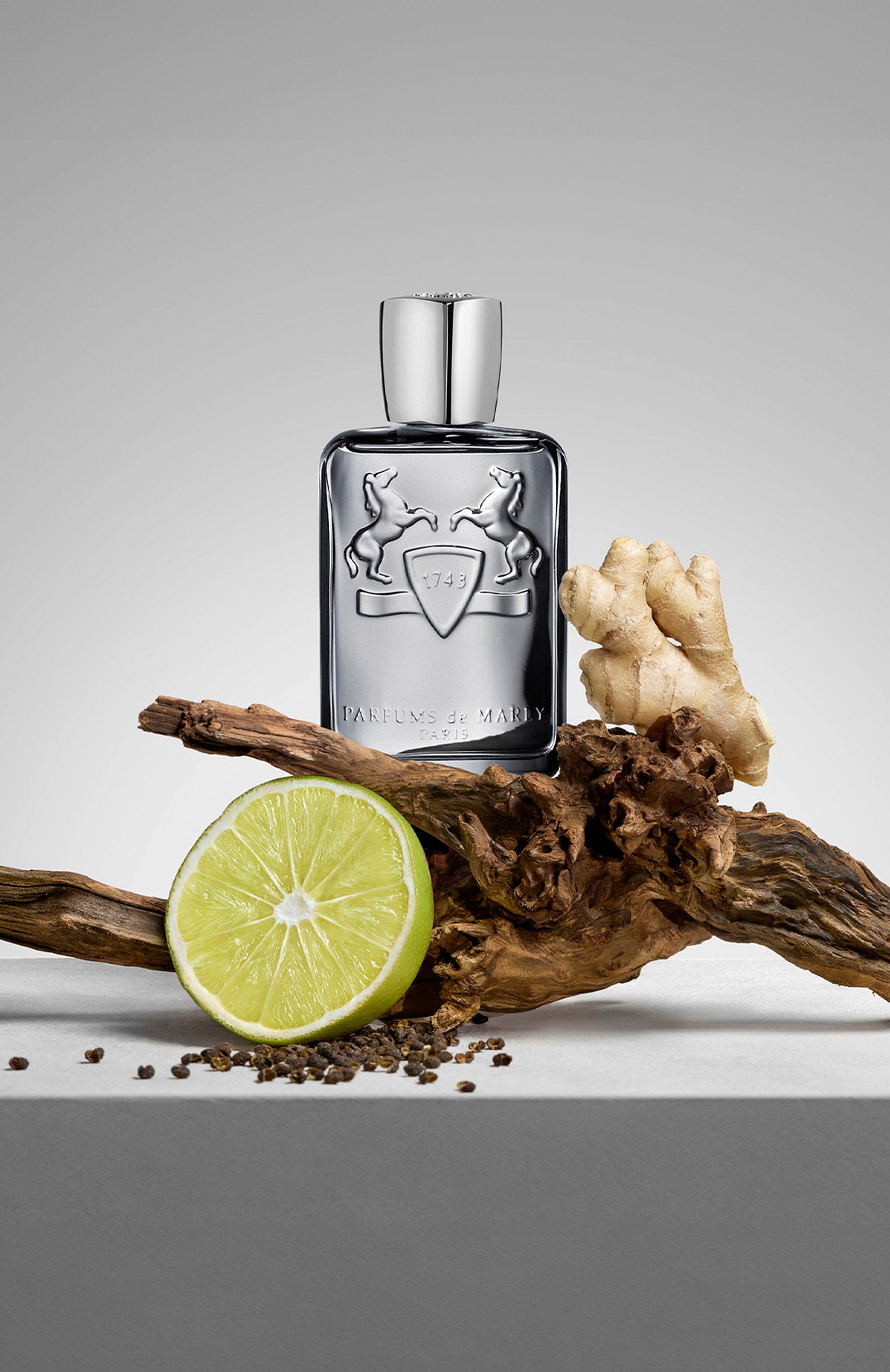 Парфюмерная вода castley (125ml) PARFUMS DE MARLY, арт. 3700578506757, фото 2