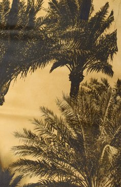 Женская юбка ERIKA CAVALLINI желтого цвета, арт. P5ST21 | Фото 6 (Материал сплава: Проставлено; Длина Ж (юбки, платья, шорты): Миди; Материал подклада: Синтетический ма�териал; Драгоценные камни: Проставлено; Стили: Романтичный; Кросс-КТ: костюм; Материал внешний: Синтетический материал)