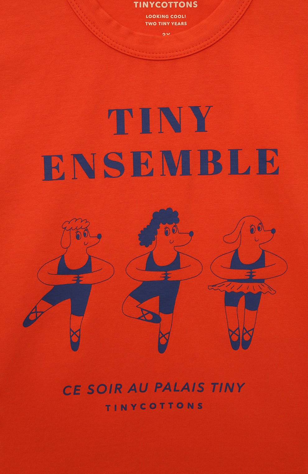 Футболка TINYCOTTONS, арт. AW22-050, фото 3