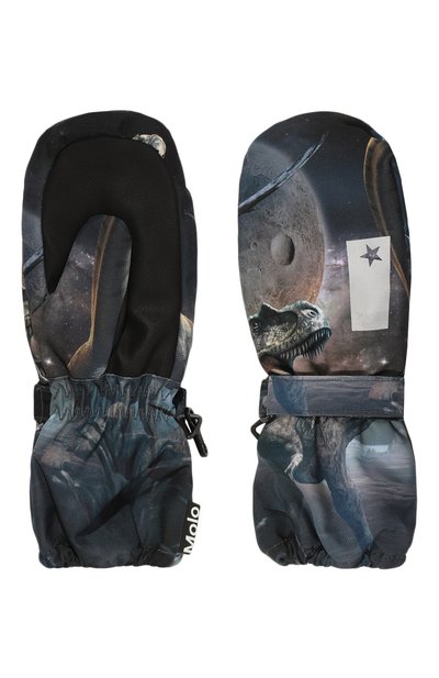 Утепленные варежки MOLO, арт. 7W24S101, фото 2