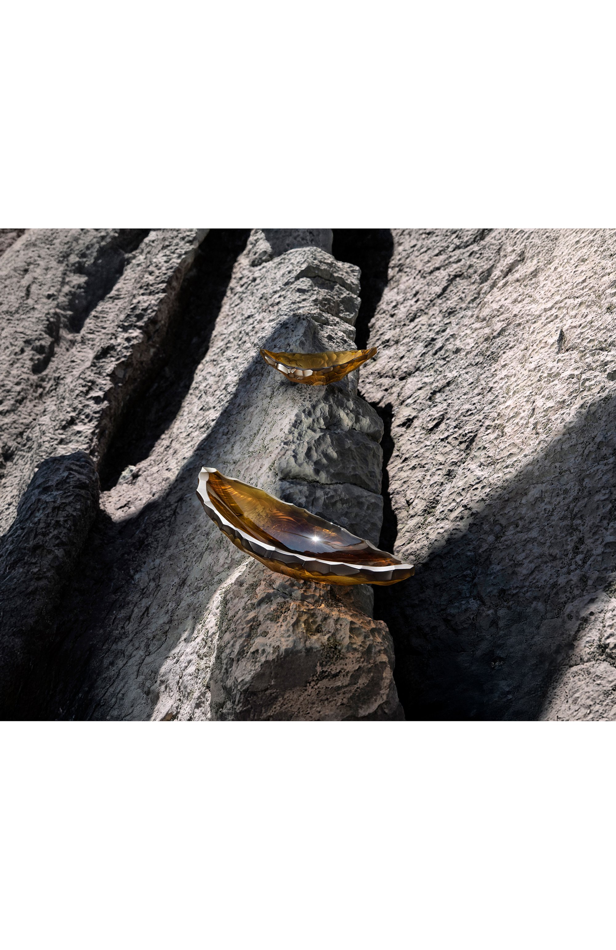 Ваза для фруктов silex LALIQUE, арт. 10847400, фото 3