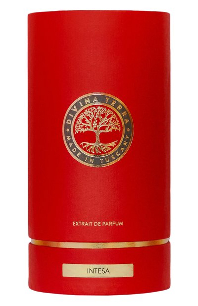 Духи intesa (100ml) DIVINA TERRA, арт. 8016741362583, фото 2