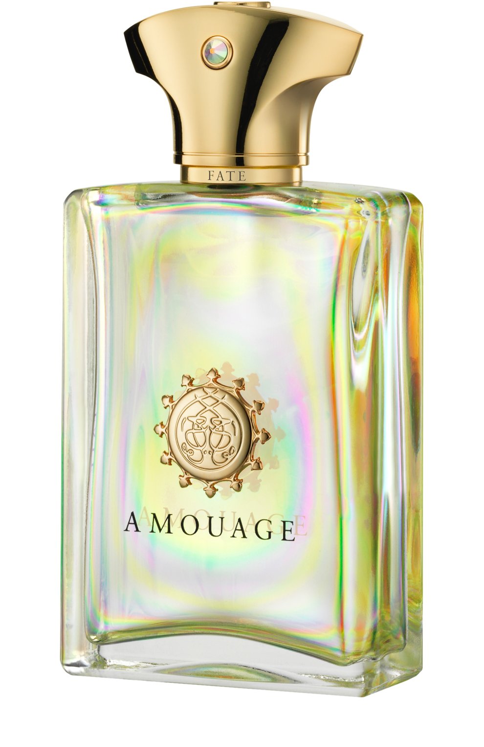 Парфюмерная вода fate for men (100ml) AMOUAGE, арт. 11692, фото 1