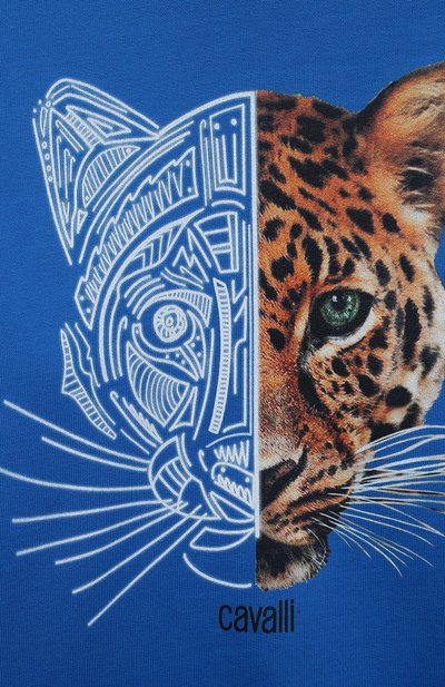 Хлопковое худи ROBERTO CAVALLI, арт. QJT934/CF050/04A-10A, фото 3