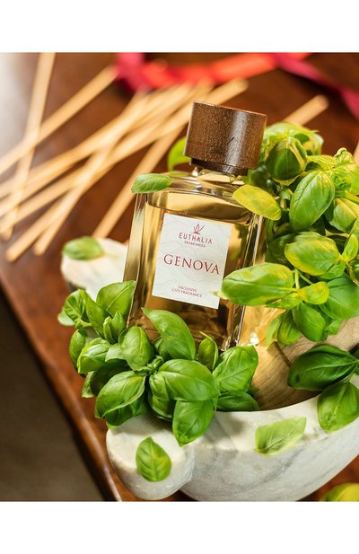 Диффузор genova (1000ml) EUTHALIA FRAGRANCES, арт. 4603336950306, фото 3