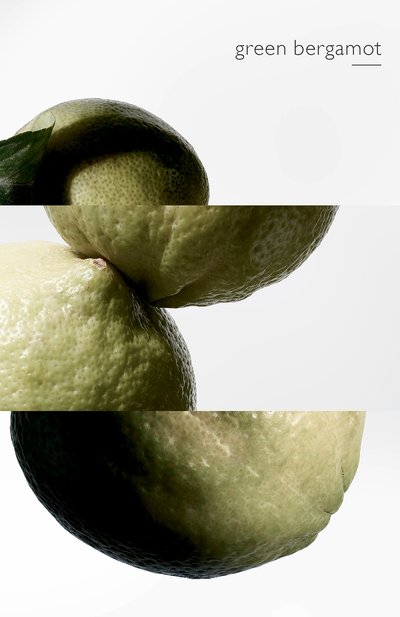 Парфюмерная вода terre d'hermès eau intense vétiver (100ml) HERMÈS, арт. 40946H, фото 5