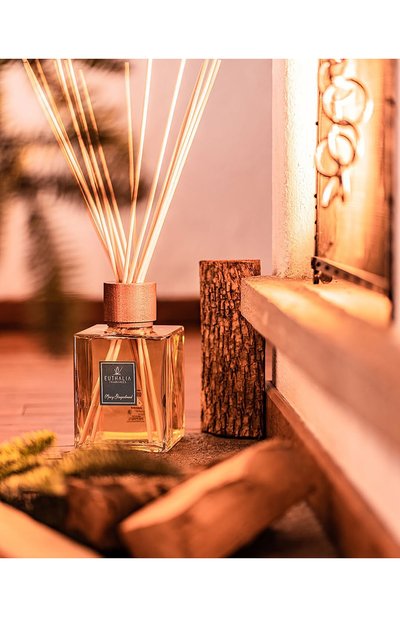 Диффузор spicy gingerbread (1000ml) EUTHALIA FRAGRANCES бесцветного цвета по цене 44800 руб., арт. 4603336950399, фото 3 Диффузор spicy gingerbread (1000ml) EUTHALIA FRAGRANCES, арт. 4603336950399, фото 3