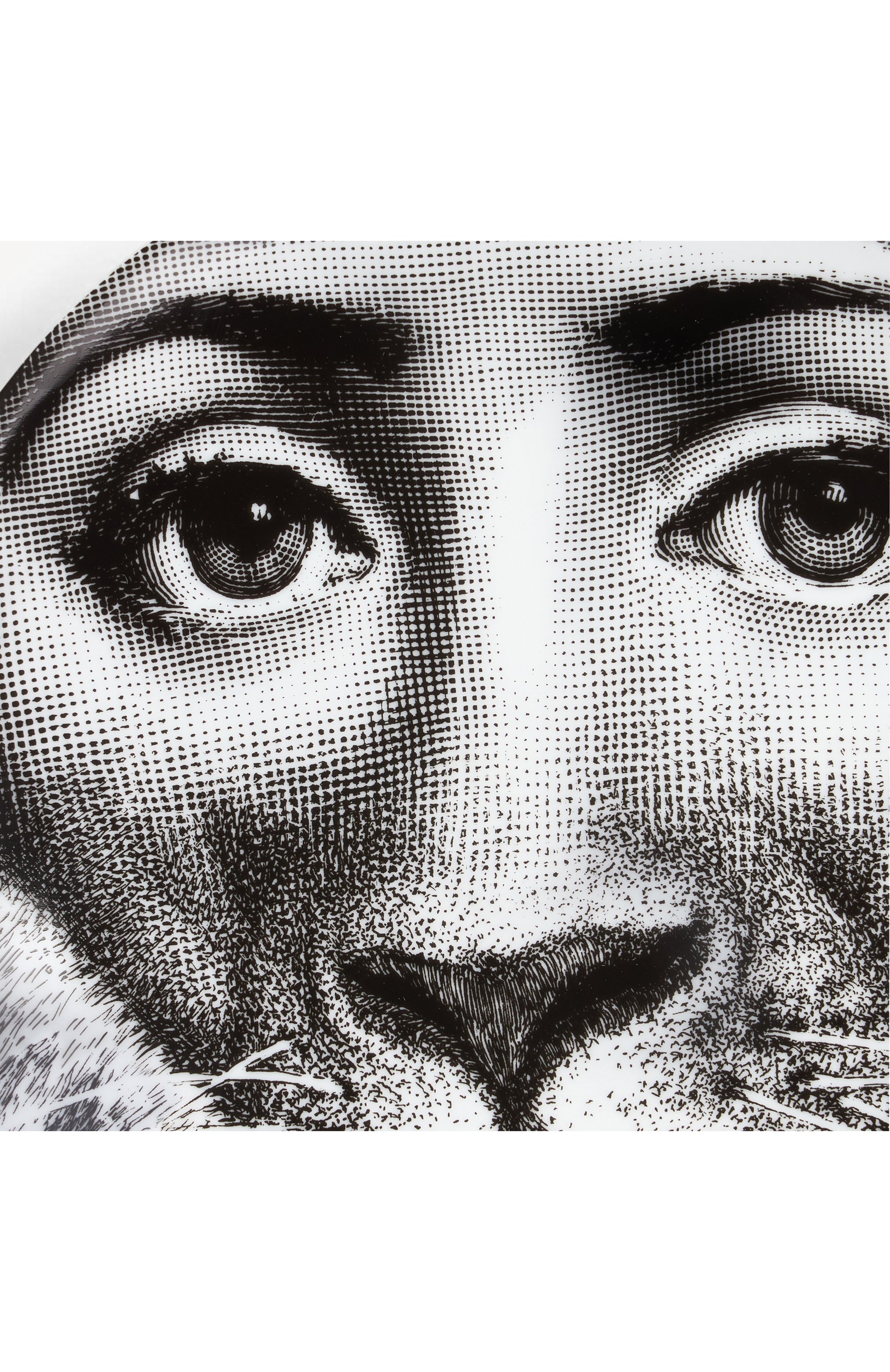 Декоративная тарелка tema e variazioni n.352 FORNASETTI, арт. PTV352X, фото 4