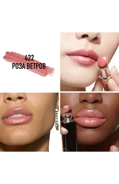 Рефил помады для губ dior addict lipstick, оттенок 422 роза ветров (3.2g) DIOR, арт. C329100422, фото 2