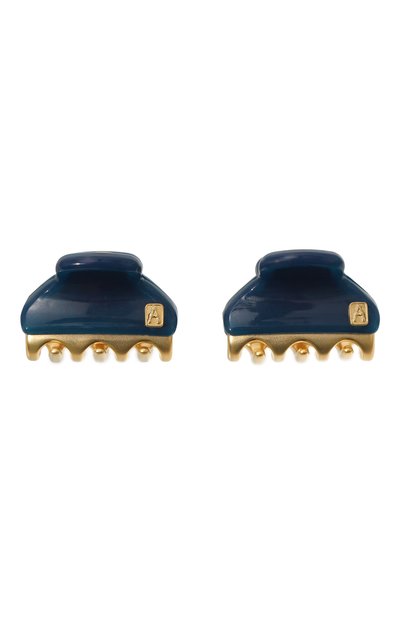 Женская комплект из двух заколок для волос ALEXANDRE DE PARIS, арт. ICCXS-14338-02A23 OM