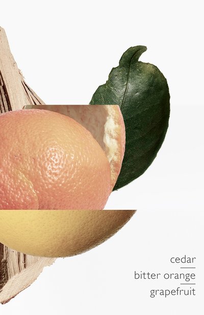 Туалетная вода terre d'hermès eau très fraîche (125ml) HERMÈS, арт. 33034H, фото 3