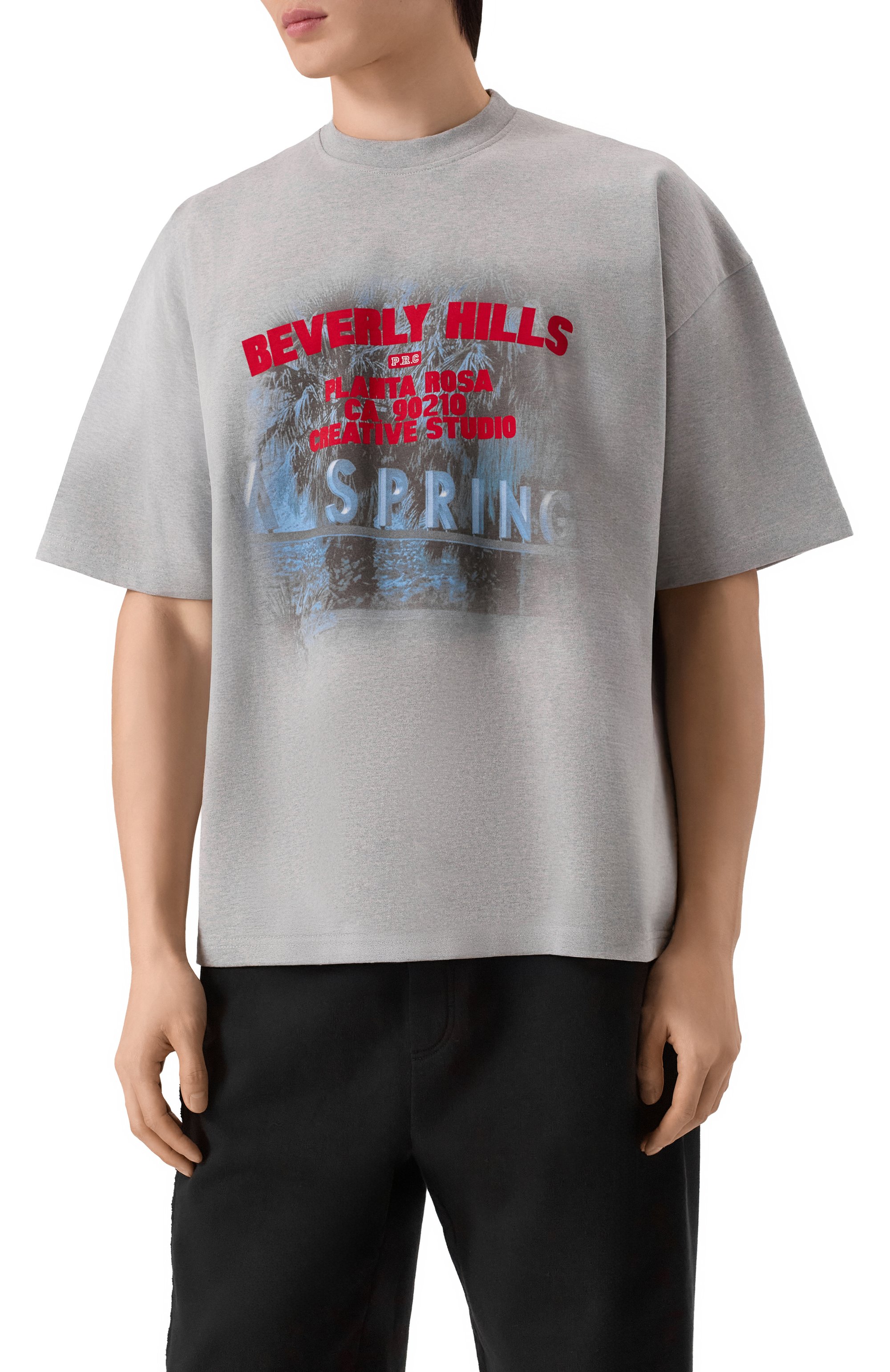 Хлопковая футболка PLANTA ROSA, арт. PR/T02/BEVERLY-DAWN/300VELVET, фото 3