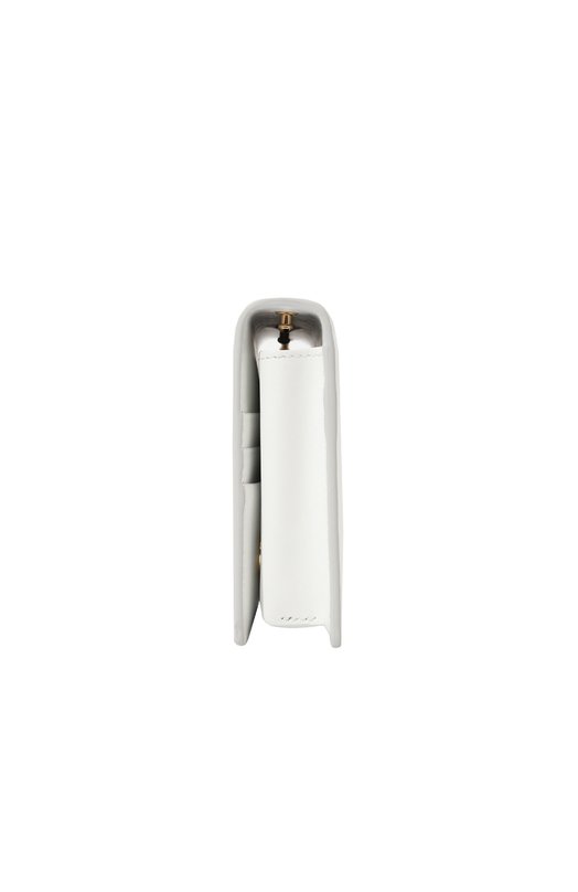 Сумка DG Logo Dolce & Gabbana BI9279_BE9279/AG081_1 Белый  BI9279_BE9279/AG081_1 Фото 4