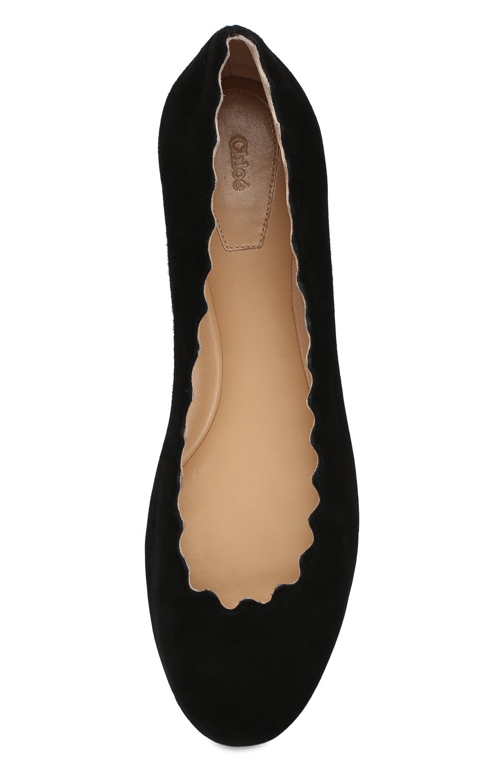 Замшевые балетки lauren CHLOÉ, арт. CH24160/E01, фото 5