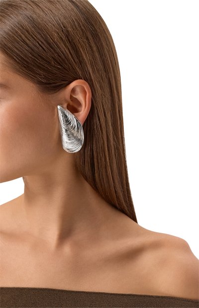 Клипсы ARMARIUM серебряного цвета по цене 65050 руб., арт. ARMFWJW02/BR01, фото 2 Клипсы ARMARIUM, арт. ARMFWJW02/BR01, фото 2