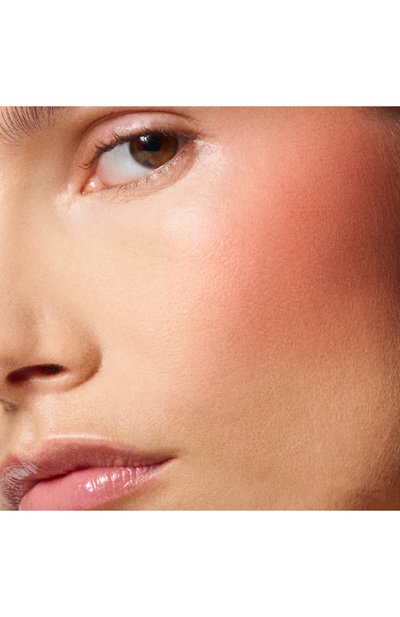 Румяна shade and illuminate, оттенок brazen rose TOM FORD, арт. T9FX-01, фото 3