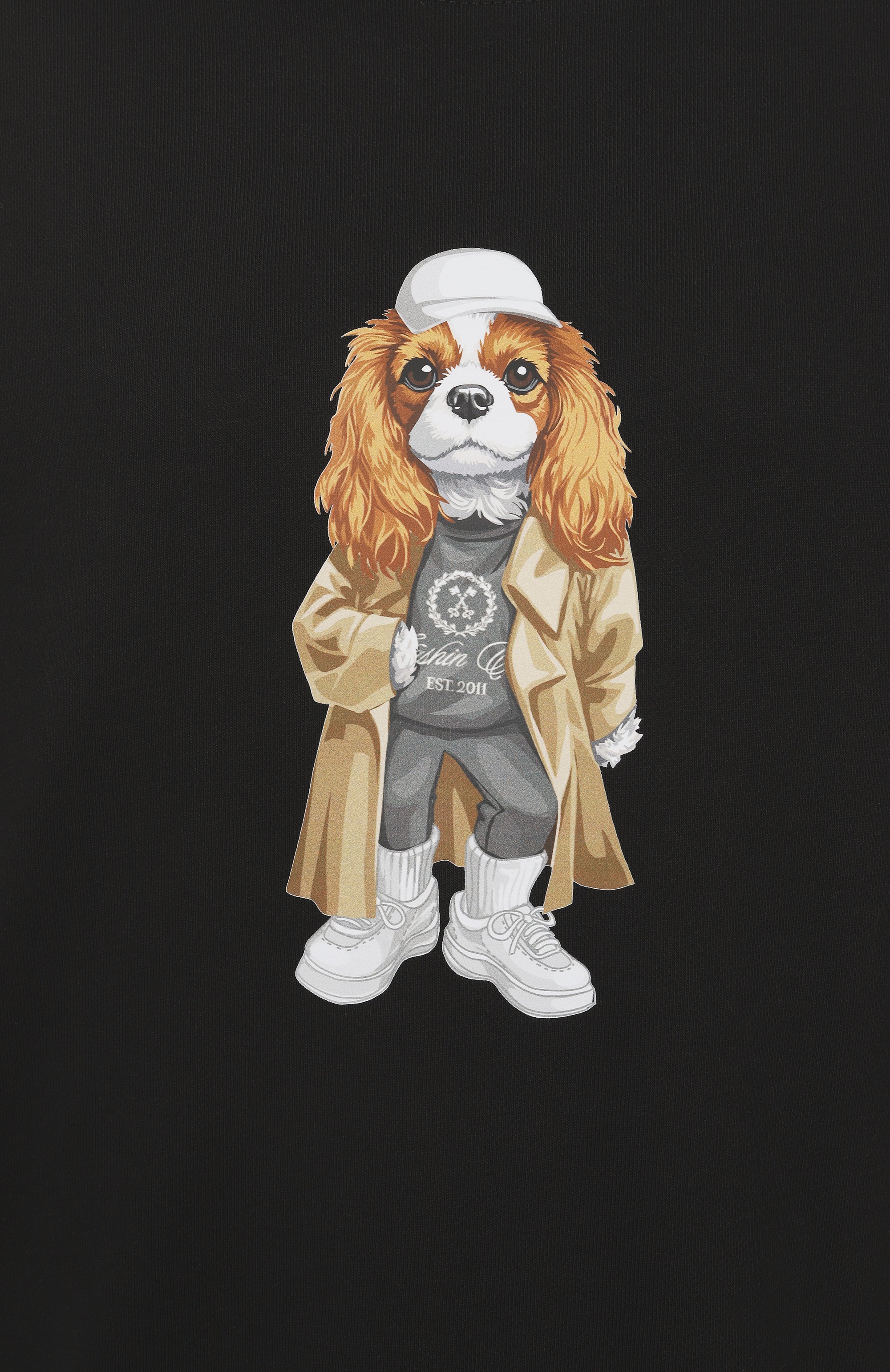 Хлопковый свитшот FLASHIN, арт. FS25SDOS, фото 6