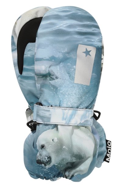 Утепленные  варежки MOLO, арт. 7W24S101, фото 1