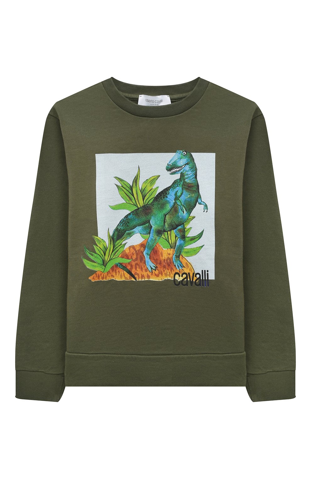 Хлопковый свитшот ROBERTO CAVALLI, арт. QJT924/CF050/04A-10A, фото 1