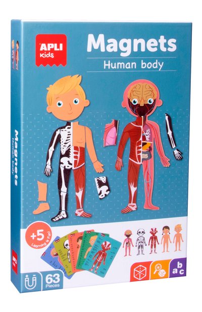 Магнитная игра тело человека APLI KIDS, арт. 18531, фото 2
