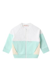 Разноцветный