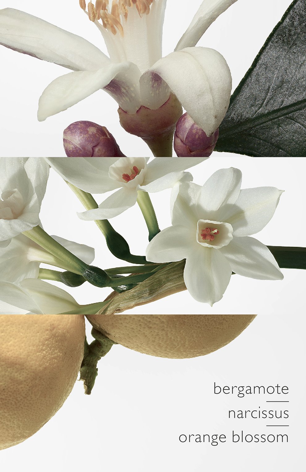 Одеколон eau de narcisse bleu (100ml) HERMÈS, арт. 30570H, фото 3