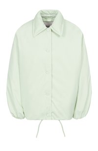 Светло-зеленый