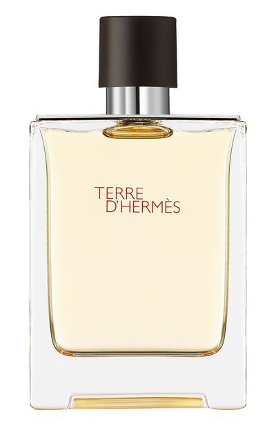Мужской туалетная вода terre d&#039;hermès (100ml) HERMÈS, арт. 3346130009603