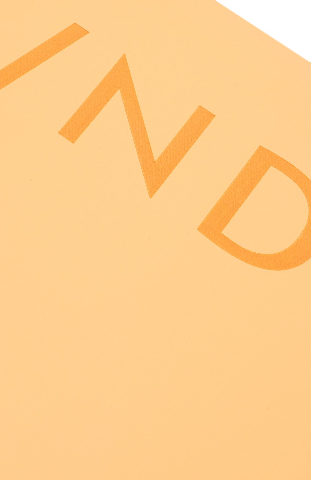 Коврик для йоги DAILY REMINDER цвета по цене 19800 руб., арт. MT01-OR, фото 3 Коврик для йоги DAILY REMINDER, арт. MT01-OR, фото 3