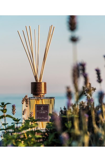 Диффузор herbes sauvages (500ml) EUTHALIA FRAGRANCES, арт. 4603336950948, фото 4