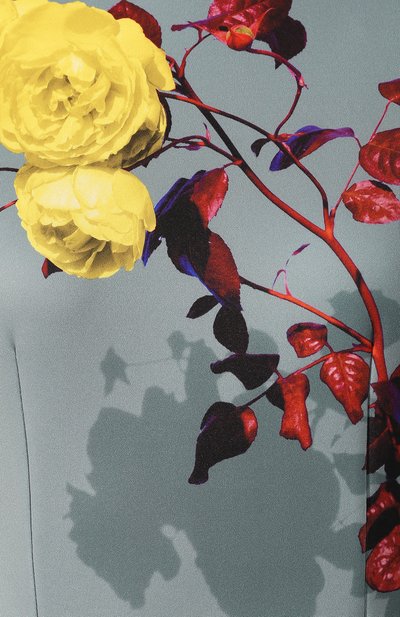 Платье с принтом DRIES VAN NOTEN, арт. 192-31036-8411, фото 5