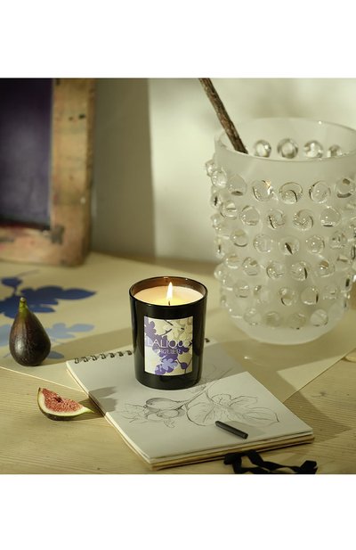 Свеча в стакане figuier amalfi LALIQUE, арт. B40181 ARTIST, фото 2