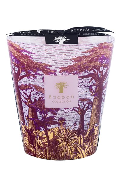 Свеча sacred trees max 24 massasso (3000g) BAOBAB, арт. 5415198517882